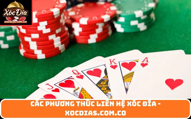 Các Phương Thức Liên Hệ xóc đĩa - xocdias.com.co