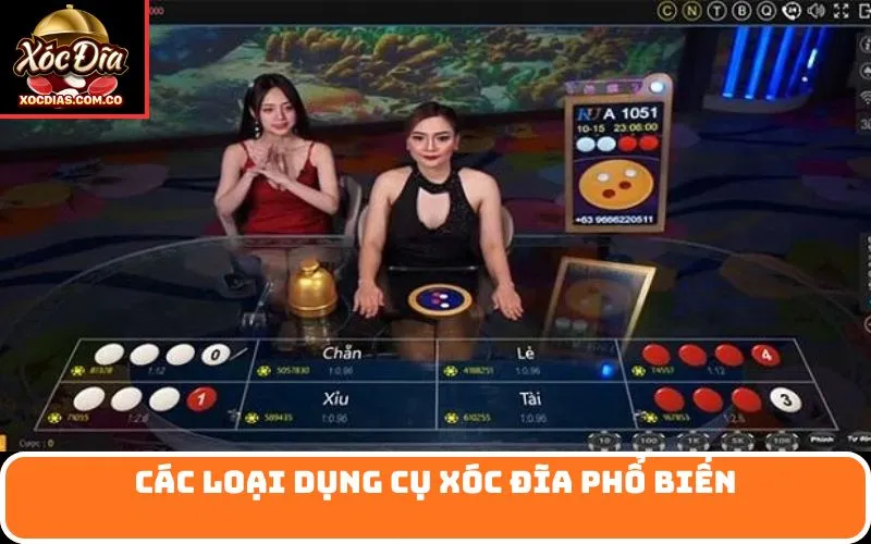 Các Loại Dụng Cụ Xóc Đĩa Phổ Biến