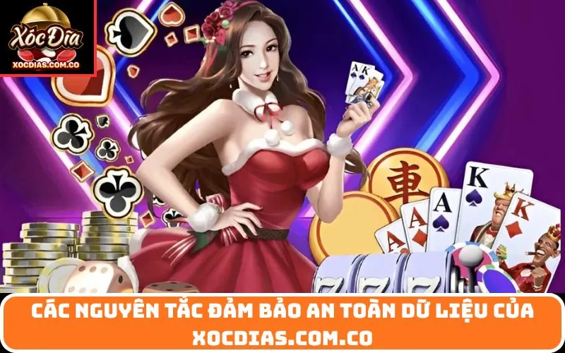 Các nguyên tắc đảm bảo an toàn dữ liệu của xocdias.com.co