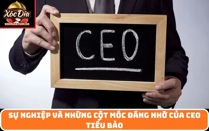 Sự Nghiệp và Những Cột Mốc Đáng Nhớ của CEO Tiểu Bảo