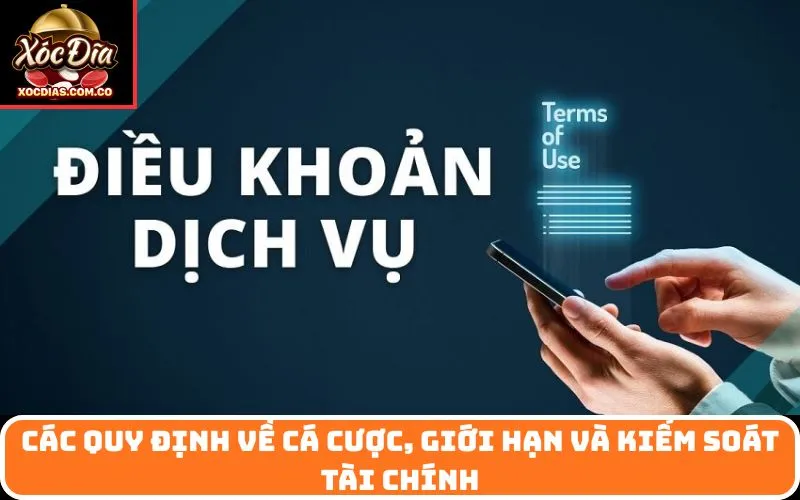 Các quy định về cá cược, giới hạn và kiểm soát tài chính