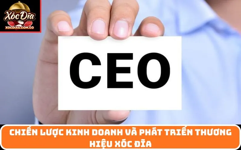 Chiến Lược Kinh Doanh và Phát Triển Thương Hiệu Xóc đĩa