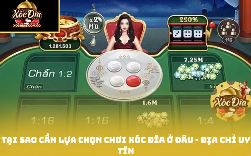 Chơi xóc đĩa ở đâu - top 5 nhà cái hàng đầu