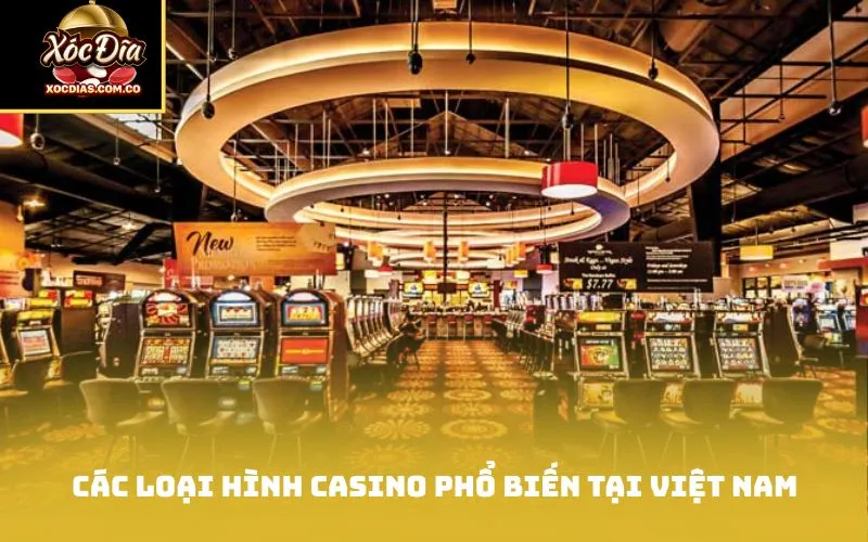 Các loại hình casino phổ biến tại Việt Nam