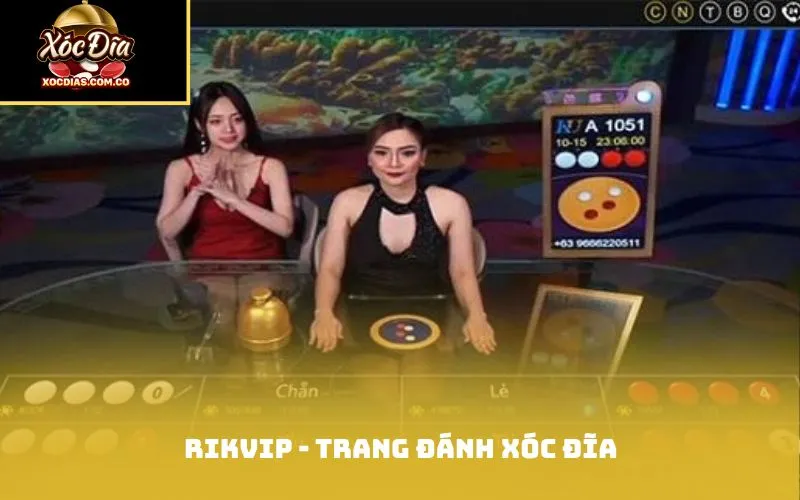Rikvip - trang đánh xóc đĩa