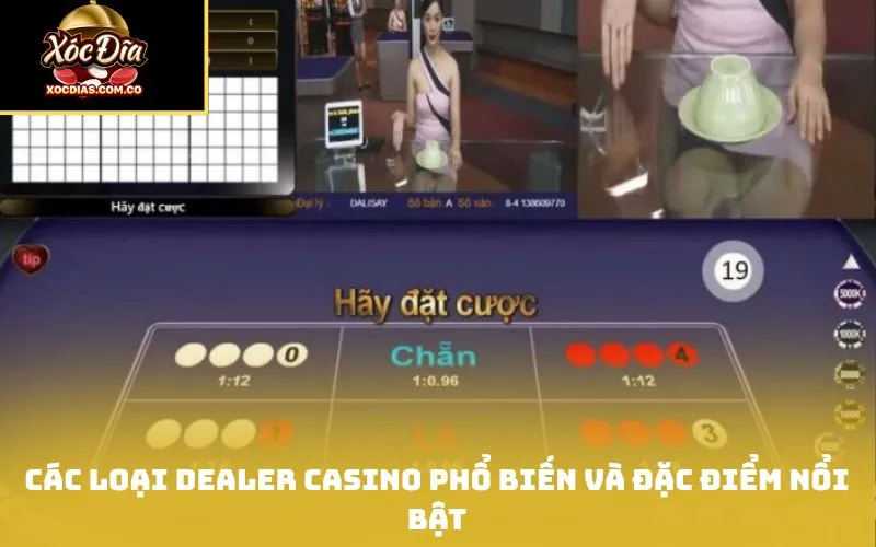 Các loại Dealer Casino phổ biến và đặc điểm nổi bật