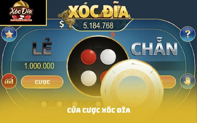 cửa cược xóc đĩa